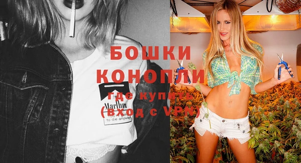 дмт Лиски
