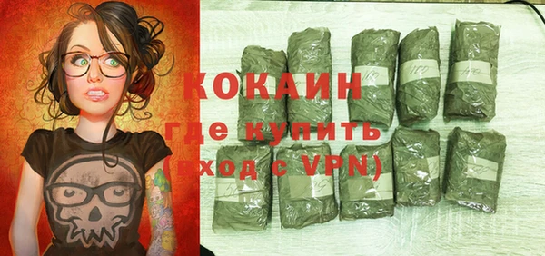 дмт Лиски
