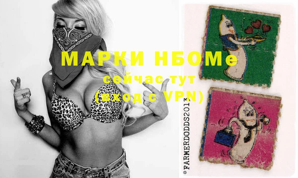 дмт Лиски